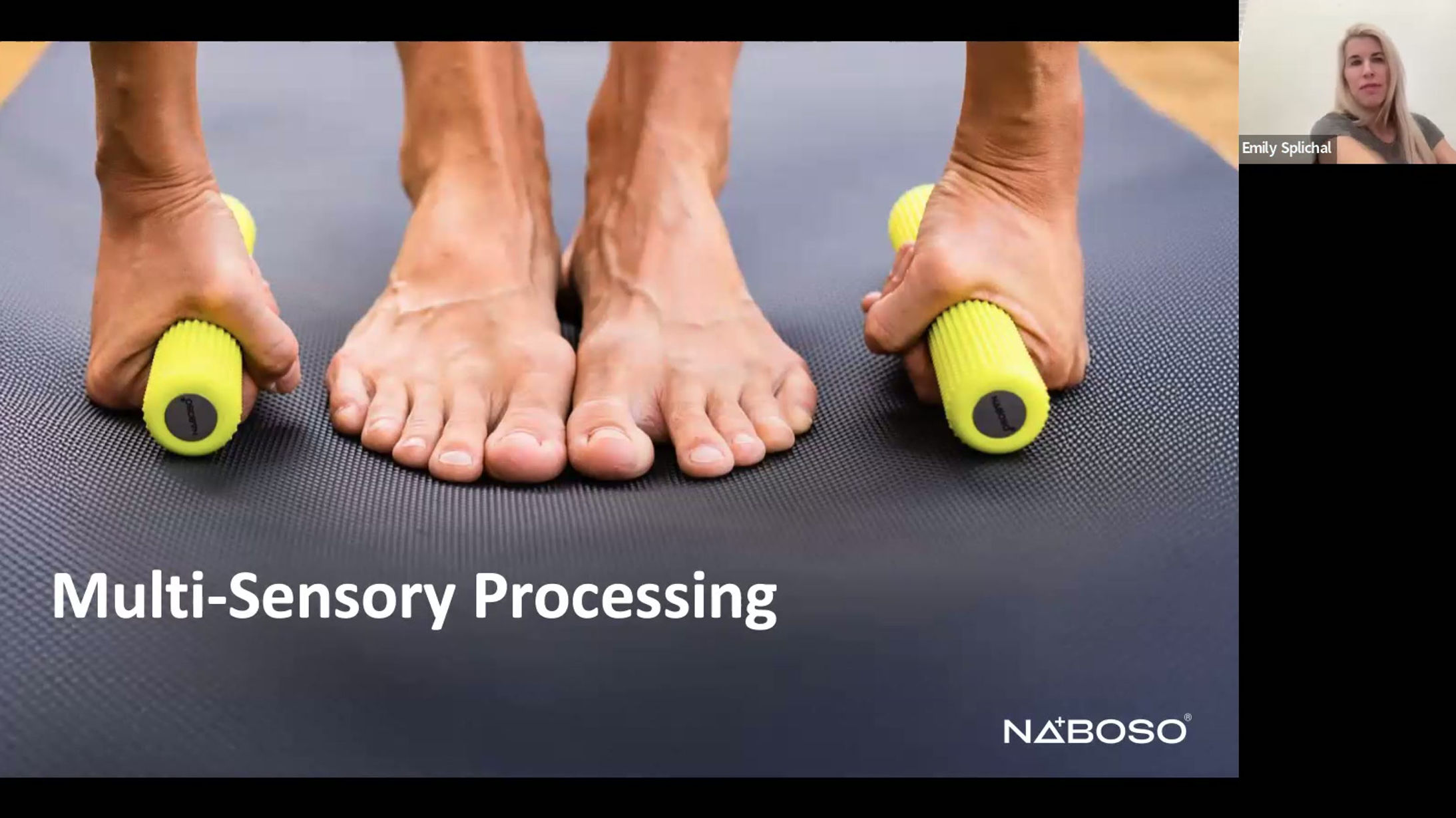 Brain-Based Balance Training: An Interactive Webinar